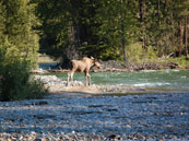 Photo Contest Winner!
